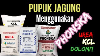 Pupuk NPK PHONSKA dan Pemupukan Jagung Yang Baik dan Benar