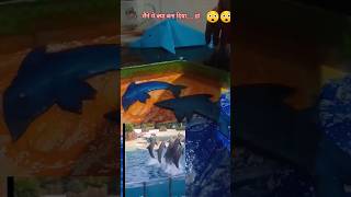 मैंने ये क्या बना दिया .... हां // How to make Dolphin decor #shorts