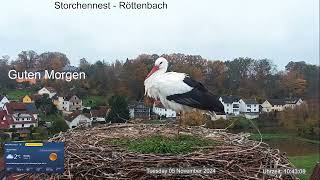 2024 11 05 Storchennest Röttenbach, Guten Morgen, Mieterhauptversammlung beendet, Chef ist da🤣