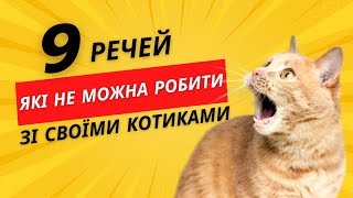 9 речей, які не можна робити зі своїми котиками (частина 2)