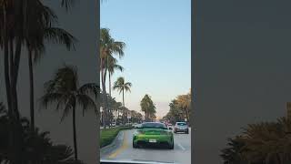 Cruising in Miami #youtubeshortsvideo #youtubeshorts #shorts #coolfeatures