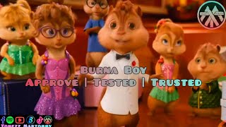 Burna Boy - Approve ,Tested & Trusted | Chipmunks Chipettes | Tomezz Martommy | Cat Family Box