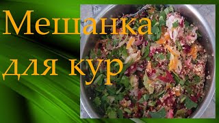 Мешанка для кур несушек (Летние варианты)