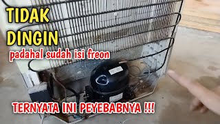 PENYEBAB KULKAS TIDAK DINGIN PADAHAL SUDAH ISI FREON