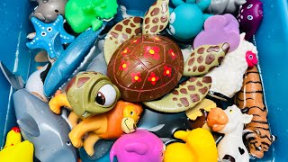 Learn Animal Names, Animal toys, Animals for kids, Sea Animals, Wild Zoo, Farm, Animals for toddlers