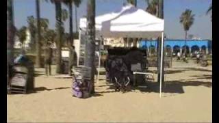 The Venice Beach Graffiti Wall