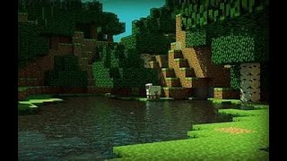 minecraft java edition 1.16.5