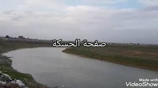 الحسكة