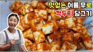 깍두기 맛있게 담그는 방법 feat 맛없는 여름 무 활용