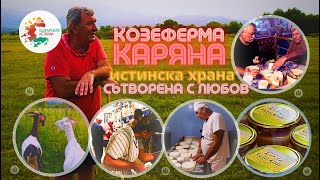 ФЕРМА КОЗ, СЕЛО ЯГОДОВО, БОЛГАРИЯ