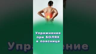 Упражнение для облегчения поясничных болей #упражнения #центрздоровья #титовцентр