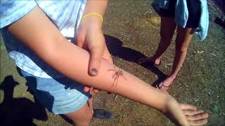 Girl attacked by angry vicious spider ! RANDOM video S1 Ep 1#stresslesscampmore !