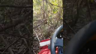 4WD Japanese Mower vs. Tree 🌳 Razorback CMX2302 CanyCom #offgrid #bush #rural #mowing 