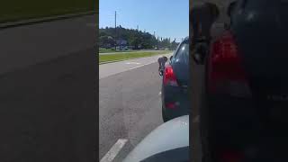 Female Florida road ragers