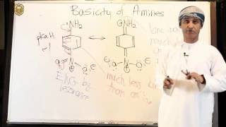 Basicity of Aniline II