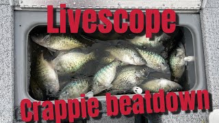 Livescoping pre spawn Crappie on Grand Lake! So many fish in this lake!