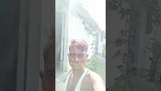 E dekiay Bihar ke Bhojpur jila mein dhaan kaise hua hai ,, aur Aisa video khatir channel subscribe K