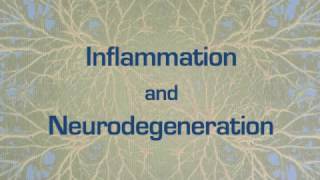 Doc's Tips for Better Aging: Inflammation & Neurodegeneration