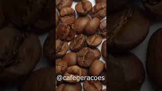 @cafegeracoes