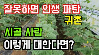 시골텃세, 시골사람에게 이렇게 대한다면?