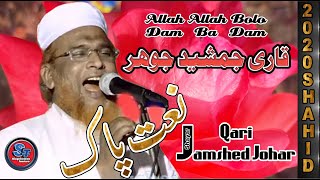 Qari jamshed jauhar | new naat | naat 2020 | madakpur jalsa | allah allah bolo dam ba dam