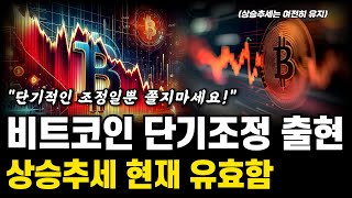 비트코인 하락! 상승추세 속 단기 조정일뿐! 전반적으로 강세패턴과 추세는 모두 유지중! 비트코인 전망 호재 분석