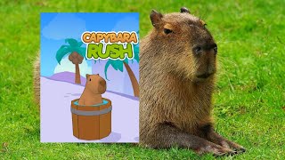 ИГРАЮ ЗА КАПИБАРУ! - Capybara Rash