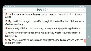 KJV-Daily Bible: p.m. Job 19:1-29