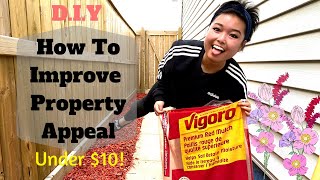 DIY How to Improve Property Appeal for $10 Under One Hour! / Home Improvements