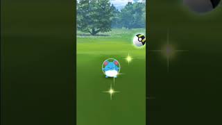 100 iv Marill & Azumarill From Research Task! Pokemon Go | #shorts