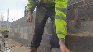 Soggy dreadlocks today walling some blockwork