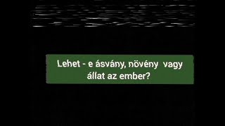 Lélekvándorlás? Lehet - e ásvány, növény vagy állat az ember?