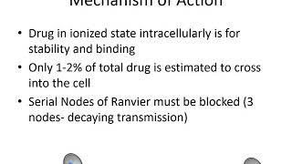 Local Anesthetics Pharmacology - (Dr. Bauereis)