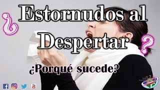 ¿Estornudos al Despertar?   ¿Por qué sucede?