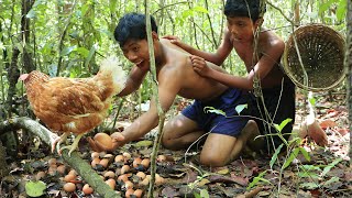 Amazing Video Chicken Female Give  Egg