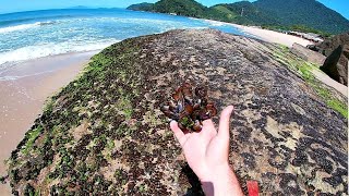 Tirei isca na Praia do Prumirim e pesquei na Praia do Léo Ubatuba, pesca de costão!