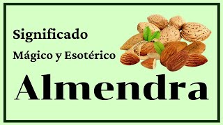 ALMENDRA Significado Mágico 🌿 (Usos Mágicos de la ALMENDRA) 🌿 Bruja Verde Almendra