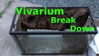 Vivarium Break Down / shout out All things for dart frogs facebook page