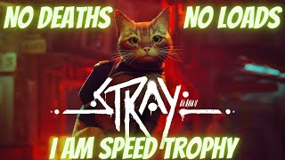 Stray | No death Full Game Playthrough | I Am Speed Achievement