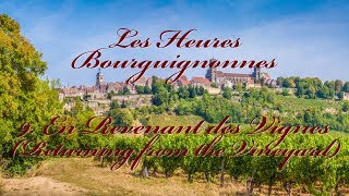 The Hours of Burgundy: 9. Returning from the Vineyard