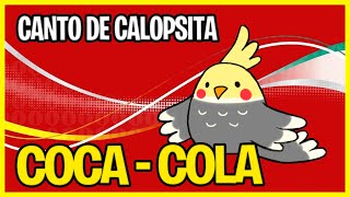 Canto de Calopsita - Coca Cola