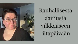 Rauhaa ja vilinää | Ruokaostokset | Asioilla | ARKIVLOG