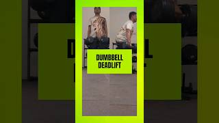 Dumbbell deadlift | Dumbbell deadlift for back #deadlift