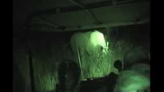 Rec Diving Elephant Encounter at Night in South Africa Feb 2012