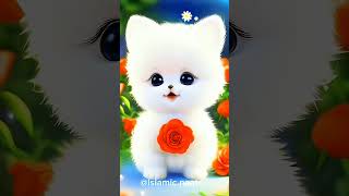 #cute cat video cate naat #hajj