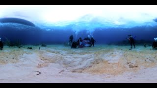 Scuba Diving at the "Three Brothers" in Roatán, Honduras in 360°! November 2022