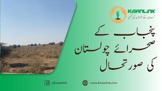 زرعی ملک اور پنجاب کے صحرائے چولستان کی صورتحال