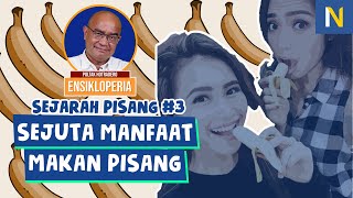 MAKANLAH PISANG KARENA SANGAT BANYAK MANFAATNYA ‼️ - Poltak Hotradero (Ensikloperia #18)