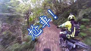 熊空林道一起跌倒 (第一部)