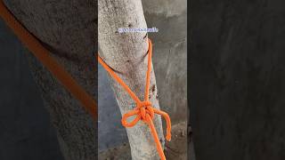 Camping knot...